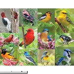 Springbok Birds of a Feather 36 Piece Jigsaw Puzzle  B00KCUQPDO